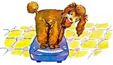 Чудесные весы. - Сергей Баруздин