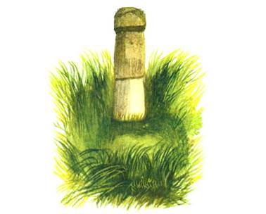 Как лентяй в столб превратился