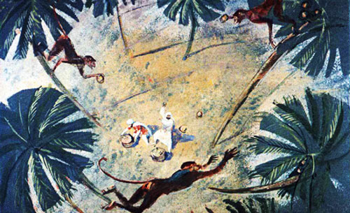 Обезьяны срывали орехи и швыряли их вниз.