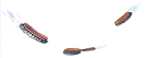 Мойдодыр. И сейчас же щётки, щётки Затрещали, как трещотки