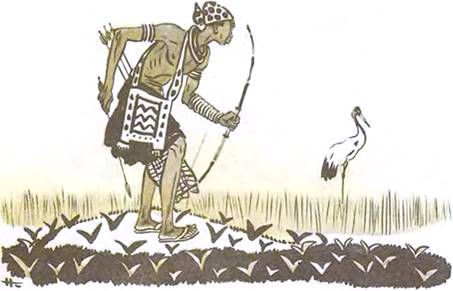 Почему журавль стоит на одной ноге