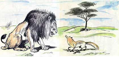 Как лиса перехитрила льва. Встреча