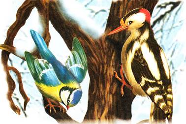 Синичкин календарь. Февраль. Виталий Бианки