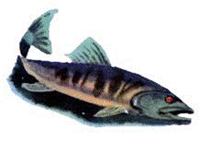 Как Ветер к великой Горе ходил