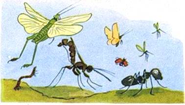 Голубой мухомор. Иван Шутов