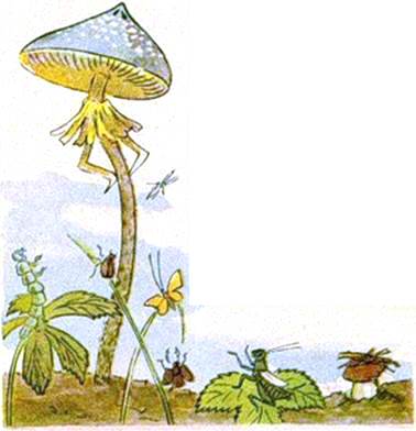 Голубой мухомор. Иван Шутов