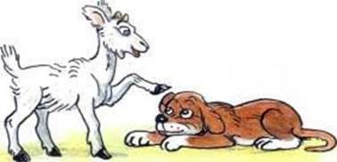 Облако в корыте. Михаил Пляцковский