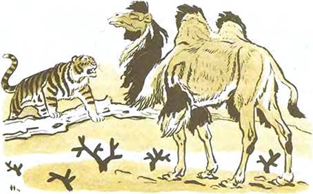 Тибетская сказка. О глупом тигре