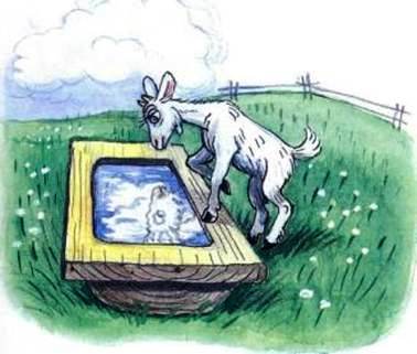 Облако в корыте. Михаил Пляцковский