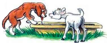 Облако в корыте