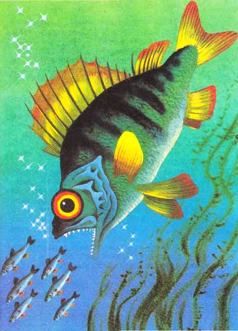 Ими-Хиты и Вошинг Урт