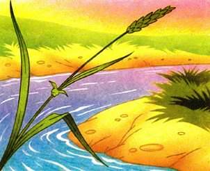 Сказка братьев Гримм. Соломинка, уголек и боб