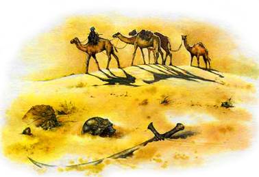 Волшебная трава