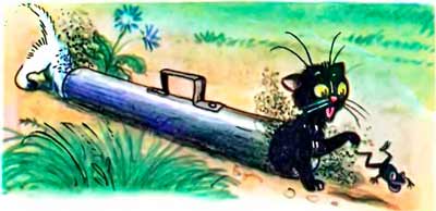 Лягушка ускакала...