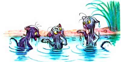 Три мокрых котёнка