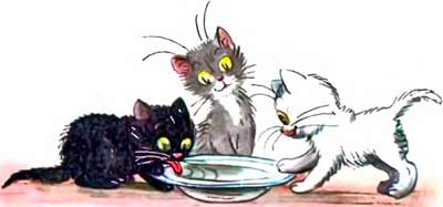 По дороге они обсохли и стали, как были: чёрный, серый и белый