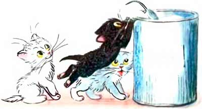 Мышь прыгнула в банку с мукой