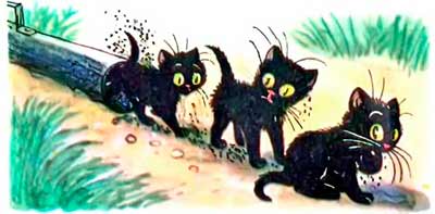 Три чёрных котёнка