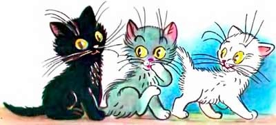 Три котёнка — чёрный, серый и белый