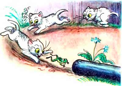 Лягушка прыгнула в старую самоварную труб