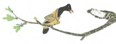 Русская народная сказка о животных. Лиса и дрозд