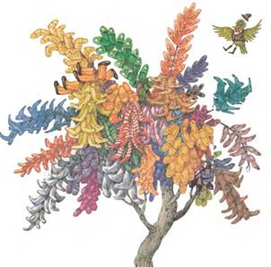 Чудо-дерево. Стихи и сказки для детей