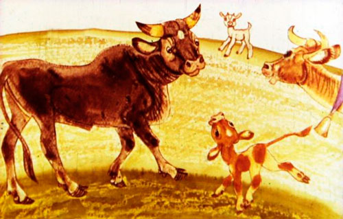 Почему вы гонитесь за этим малышом? 