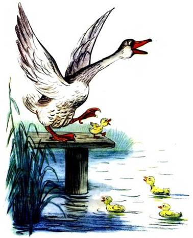 Гусак-физкультурник. Михайло Стельмах