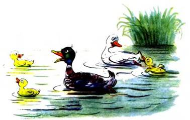 Гусак-физкультурник