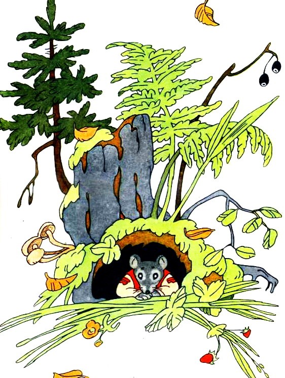 Рисунок - Курочка, мышка и тетерев читать