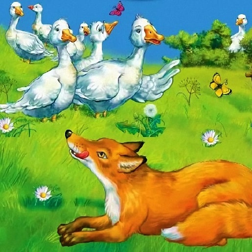 Лиса и гуси