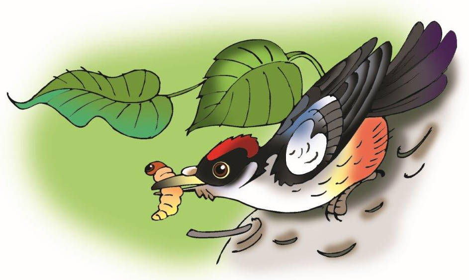 Слушать стихотворение Михалкова С.В. «Дятлы»