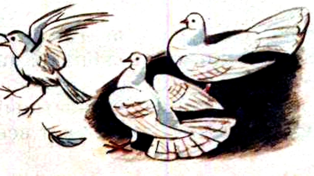 Слушать басню Толстого Л.Н «Галка и голуби»