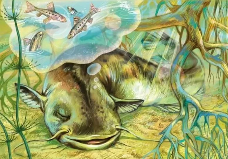 Слушать стихотворение Михалкова С.В. «Про сома»