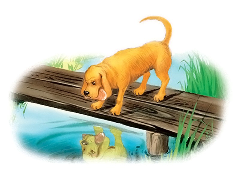 Слушать басню Толстого Л.Н «Собака и ее тень»