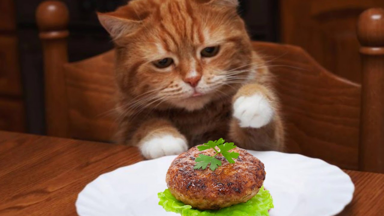 Слушать стихотворение Заходера Б.В. «Странное происшествие»