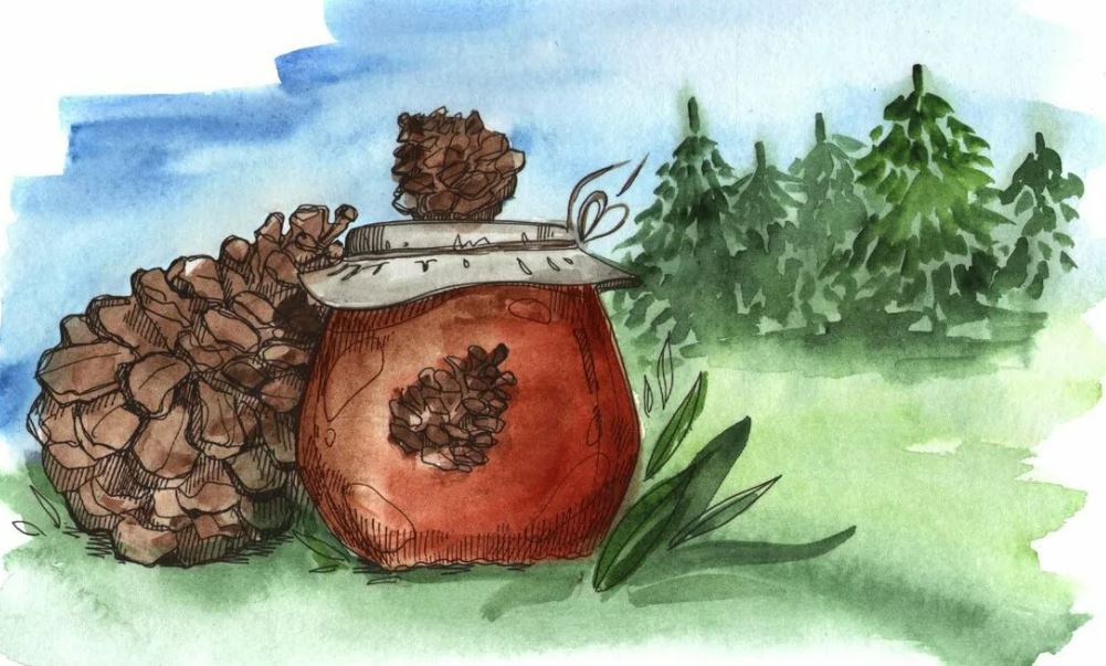 Слушать русскую народную сказку «Дорогие шишки»