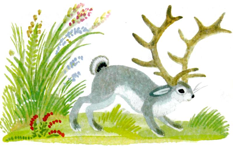 Слушать русскую народную сказку «Почему у зайца уши длинные»